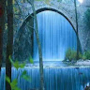 Meet your Posher, Talia